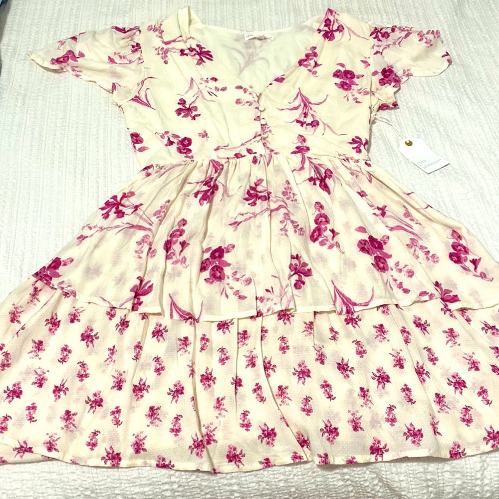 Pink and Cream Floral Coco+Jaimeson Dress (size medium)